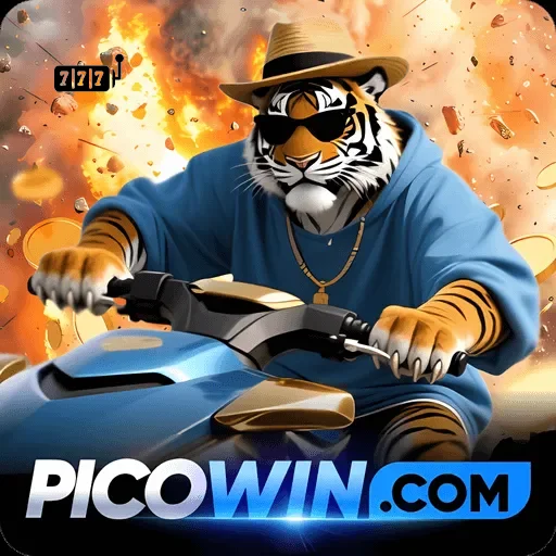 picowin Logo